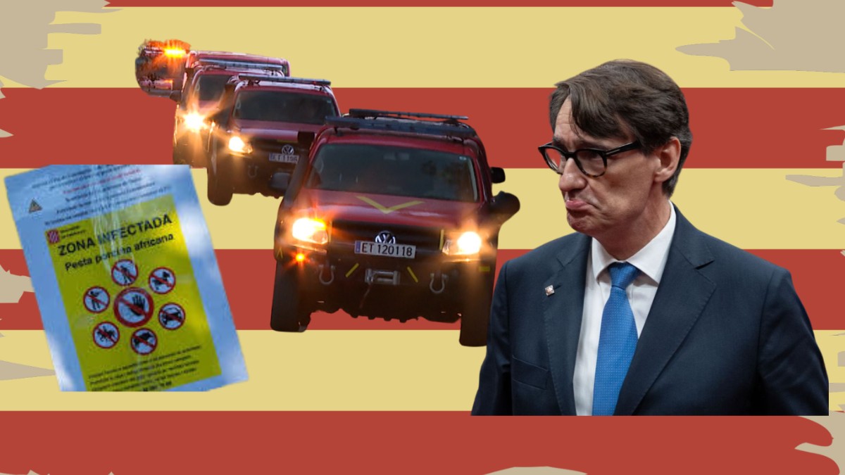 Illa recurre a la UME para contener el brote de peste porcina africana tras expulsar al SEPRONA de Cataluña