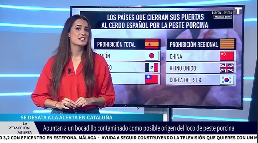 Un bocadillo podría ser el causante de la peste porcina africana en Cataluña