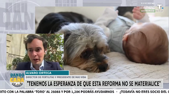 El Consejo de Estado, a favor de blindar el aborto en la Constitución