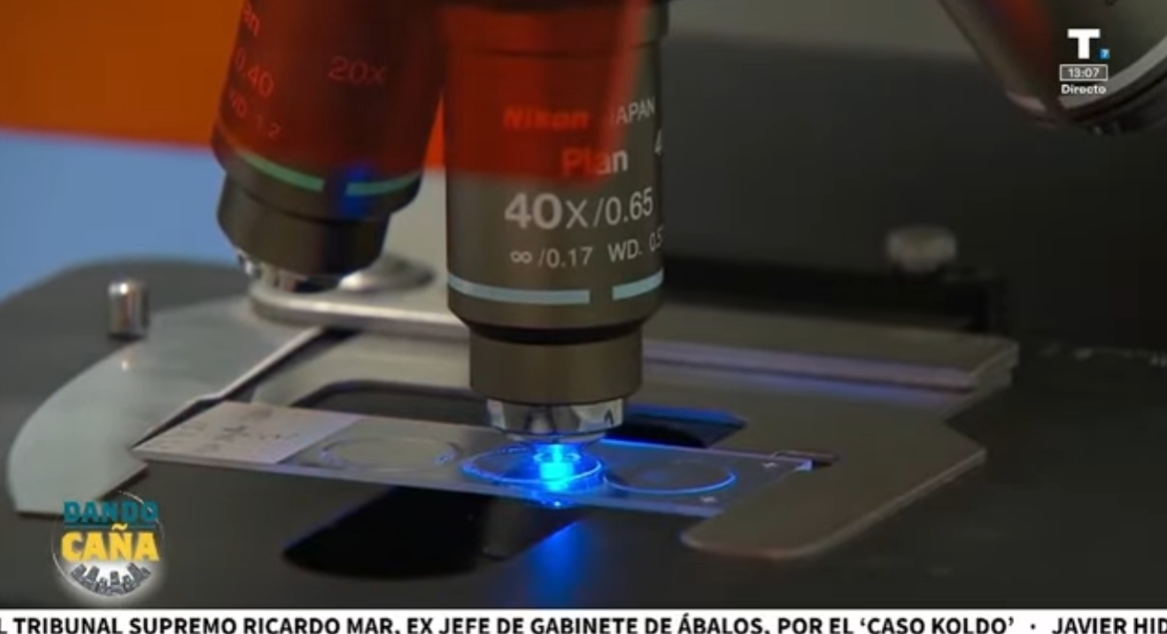 España sigue a la cola en inversión para la investigación del cáncer