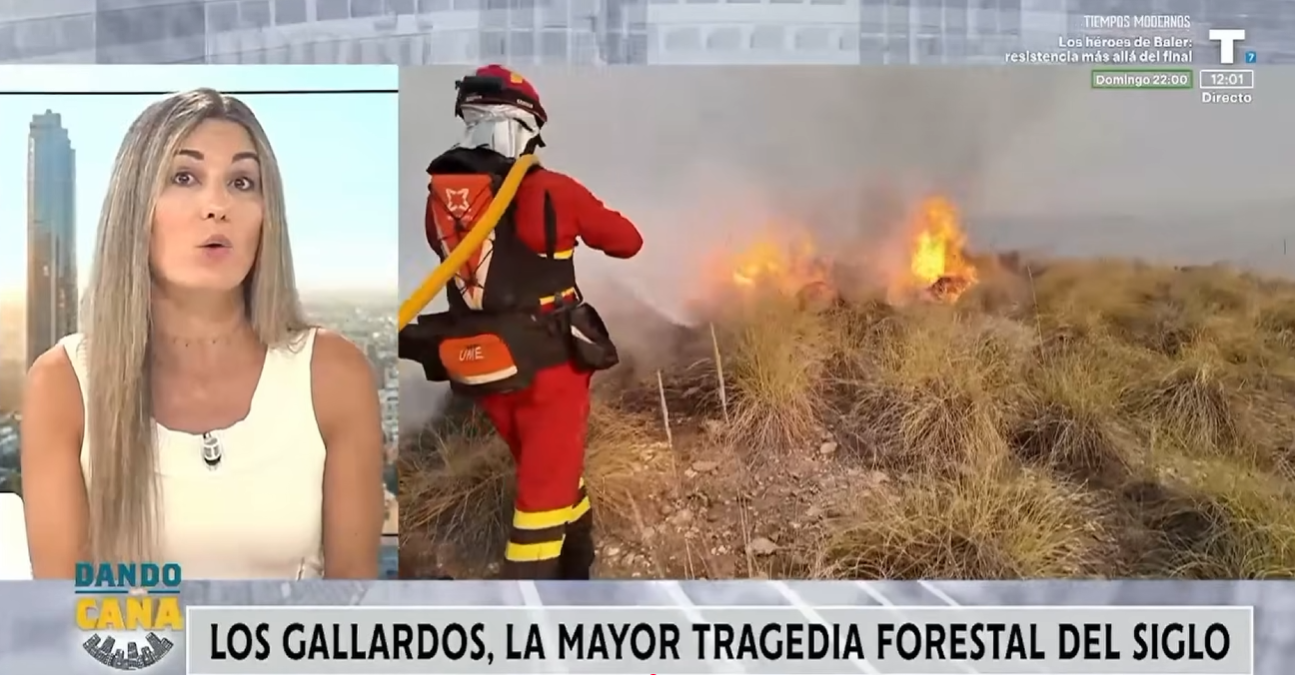 La mayor tragedia forestal del siglo