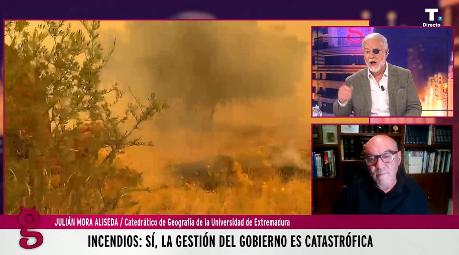 Julián Mora, catedrático de Geografía: «La temperatura no genera estos incendios»