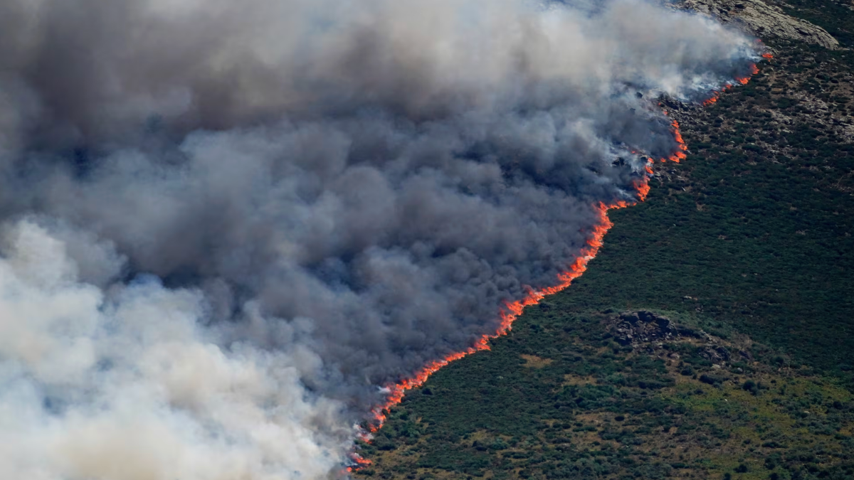 El Gobierno de Sánchez recurre a Grecia y pide auxilio a la UE ante su incapacidad para controlar los incendios de Ávila y Madrid