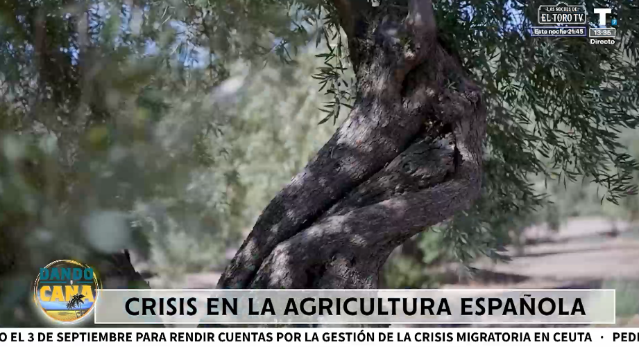 El campo de España en crisis